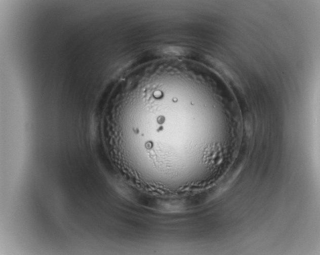 X0000115540359200911131549