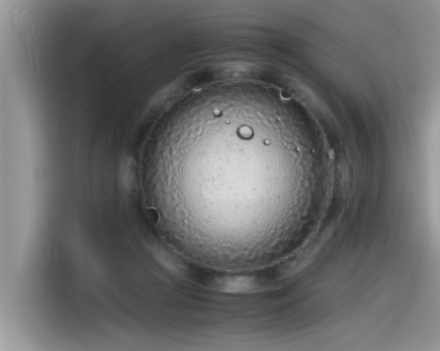 X0000115540361200911131549