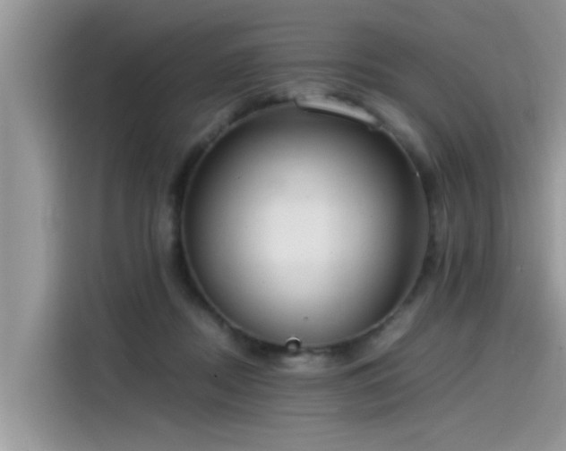 X0000115540362200911131549