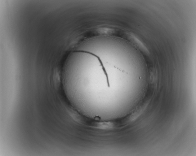 X0000115540363200911131549