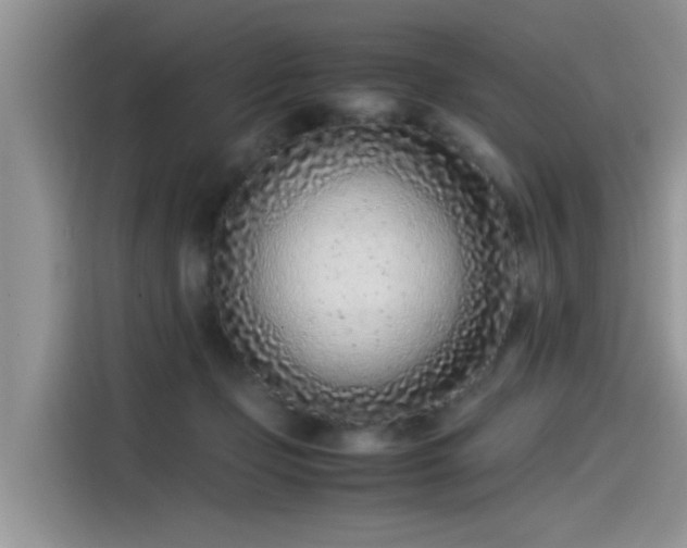 X0000115540365200911131549