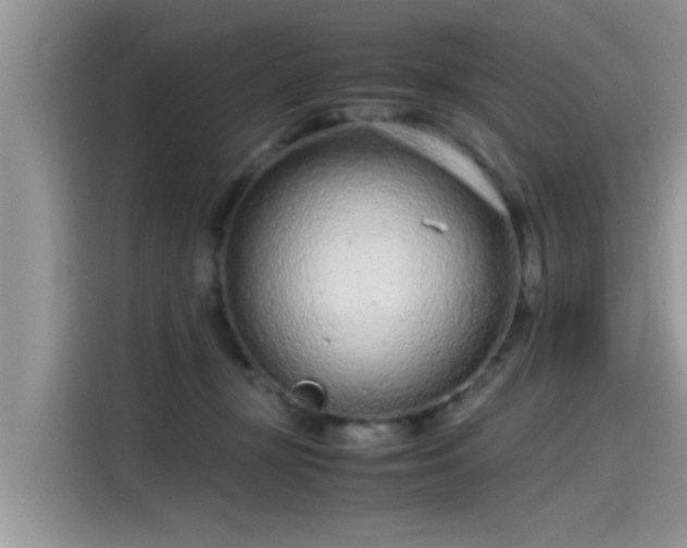 X0000115540367200911131549