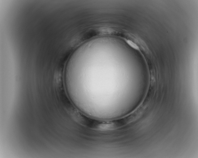 X0000115540369200911131549