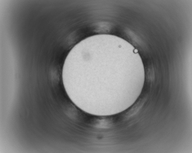 X0000115540370200911131549