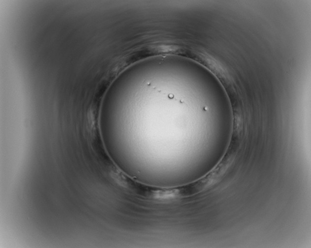 X0000115540373200911131549