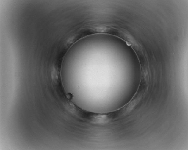 X0000115540374200911131549