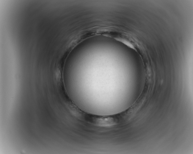 X0000115540375200911131549