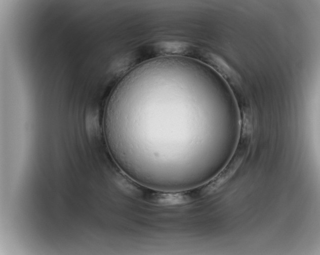 X0000115540377200911131549