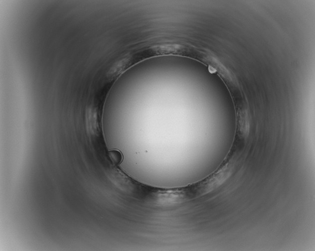 X0000115540378200911131549