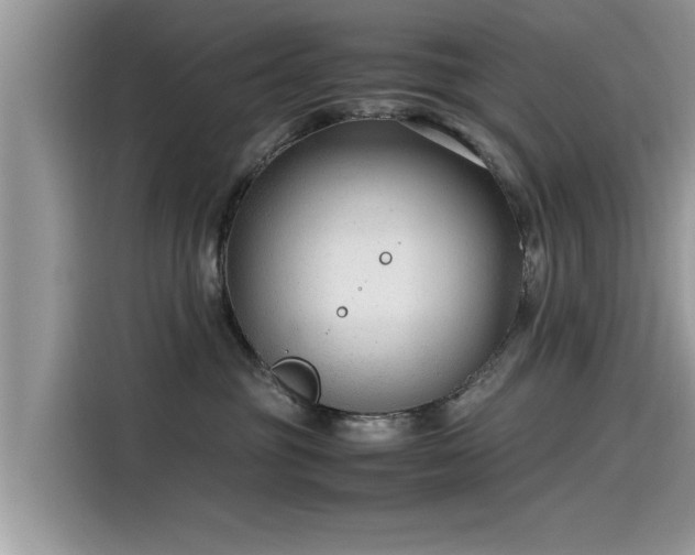 X0000115540381200911131549