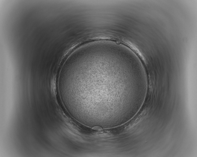 X0000115540386200911131548