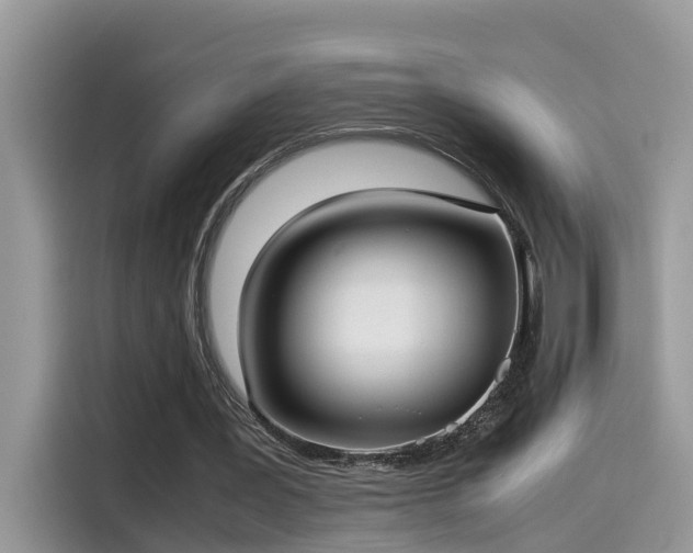 X0000115540387200911131548