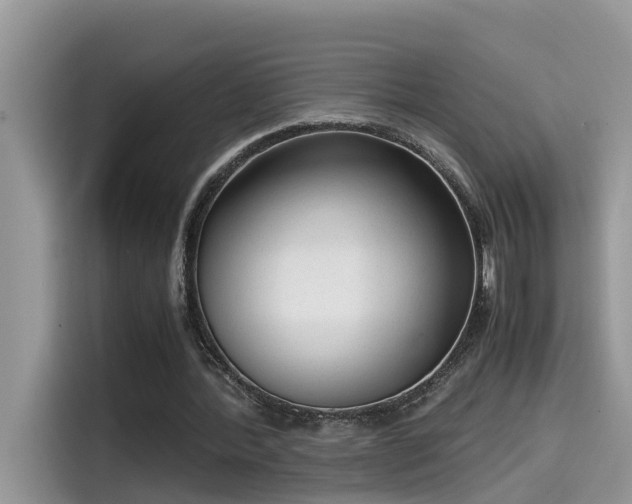 X0000115540388200911131548