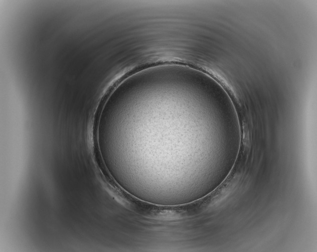 X0000115540390200911131548