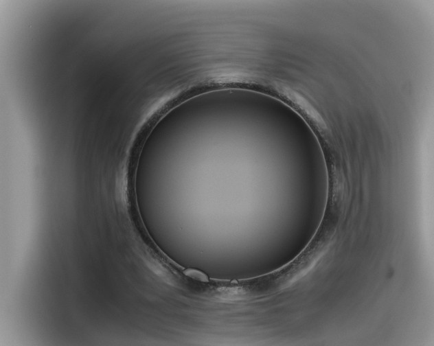 X0000115540391200911131548