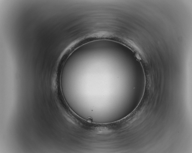 X0000115540392200911131548