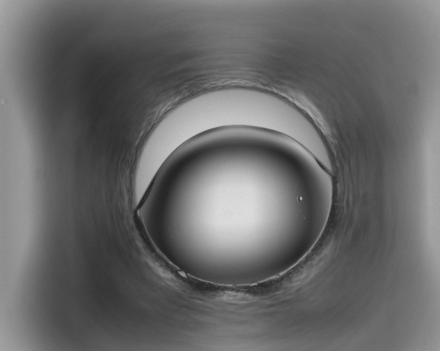 X0000115540393200911131548