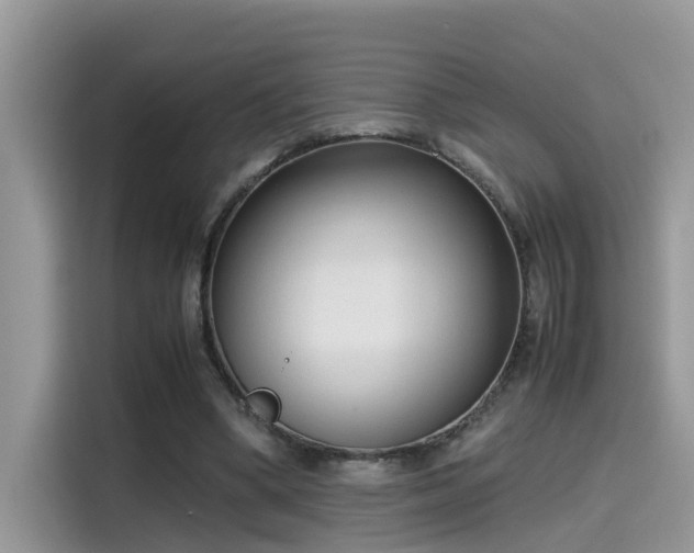 X0000115540394200911131548