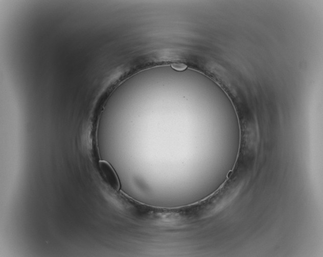 X0000115540395200911131548