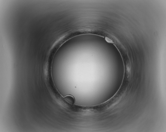 X0000115540396200911131548