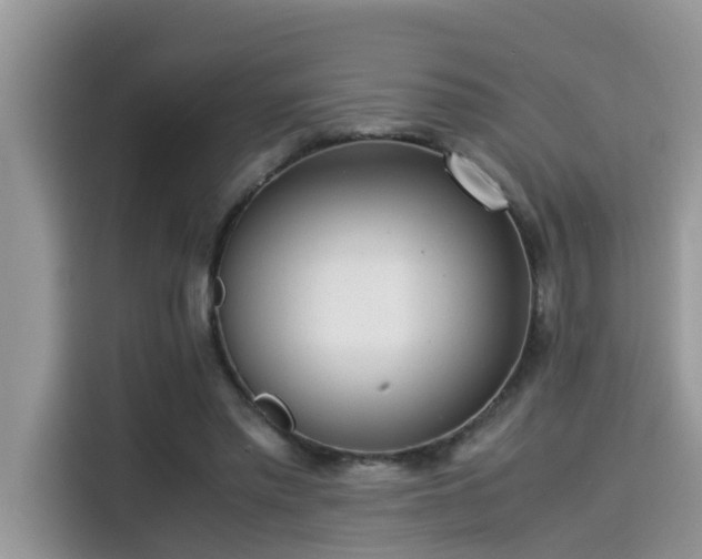 X0000115540397200911131548