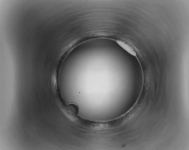 X0000115540398200911131548