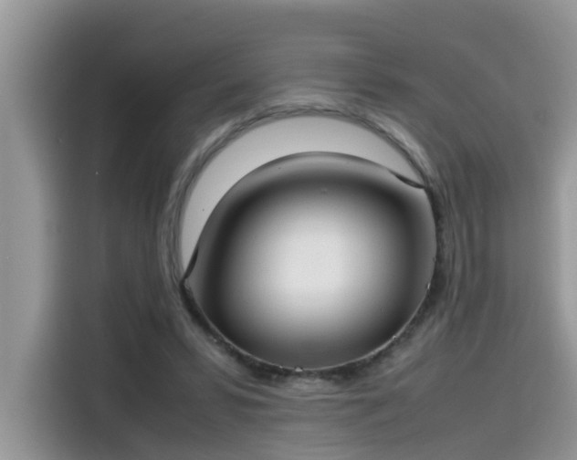 X0000115540399200911131548