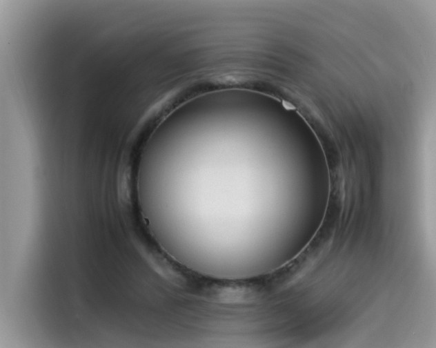 X0000115540400200911131548