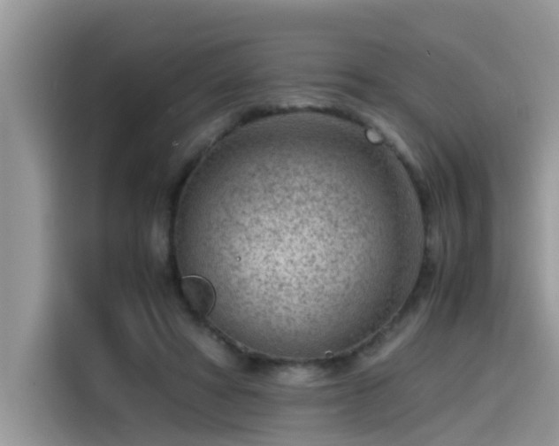 X0000115540402200911131548