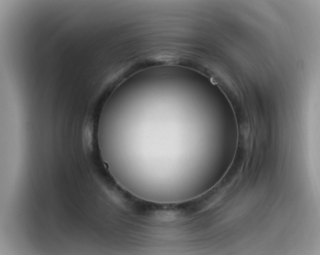 X0000115540404200911131548