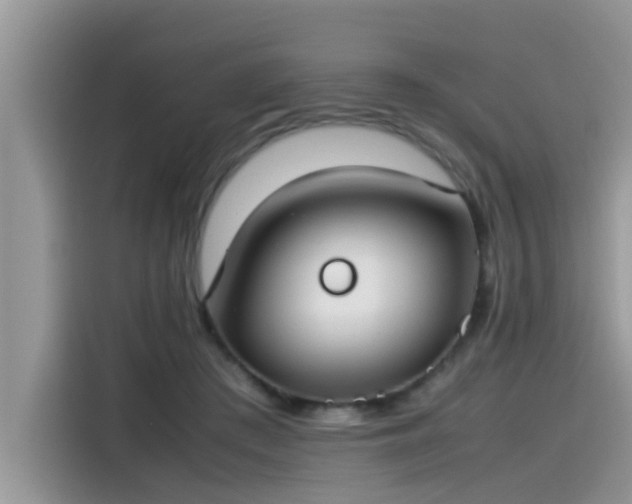 X0000115540409200911131548