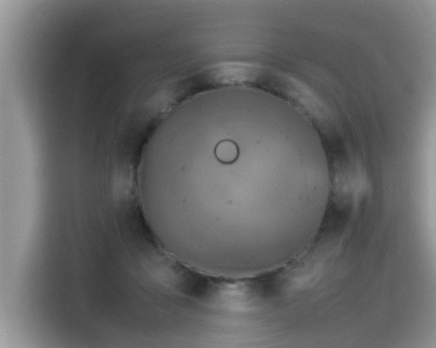 X0000115540411200911131548