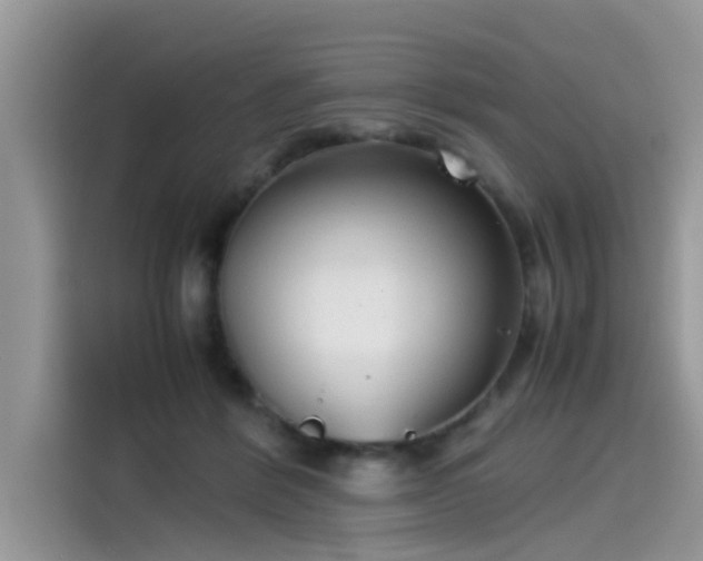 X0000115540412200911131548