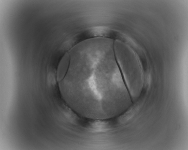 X0000115540413200911131548