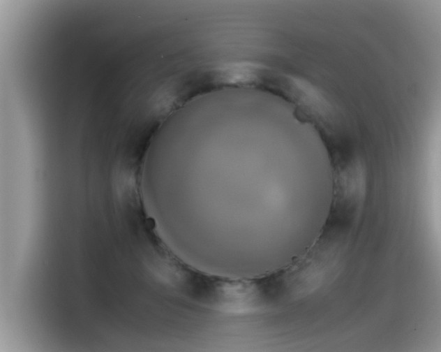 X0000115540415200911131548