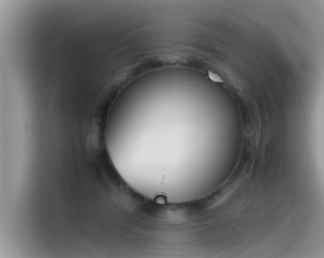 X0000115540416200911131548