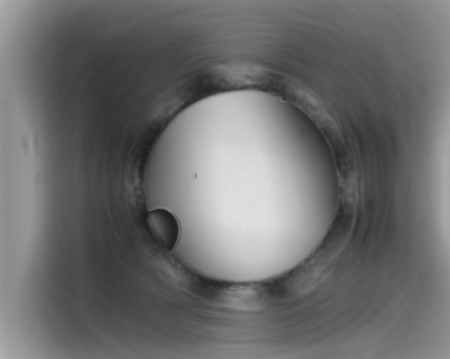 X0000115540418200911131548