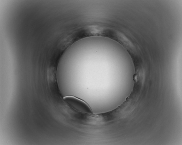 X0000115540421200911131548