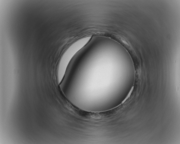 X0000115540423200911131548