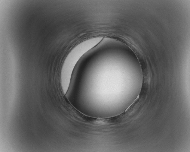 X0000115540425200911131548