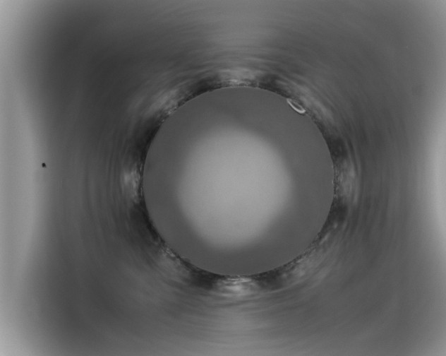 X0000115540427200911131548