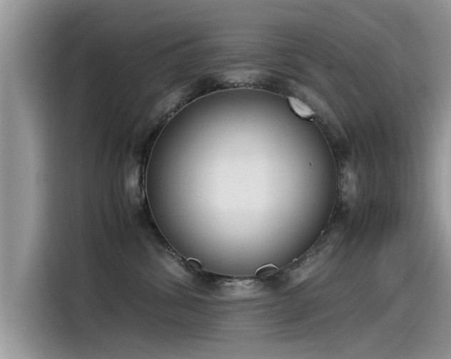 X0000115540428200911131548