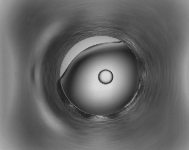 X0000115540429200911131548