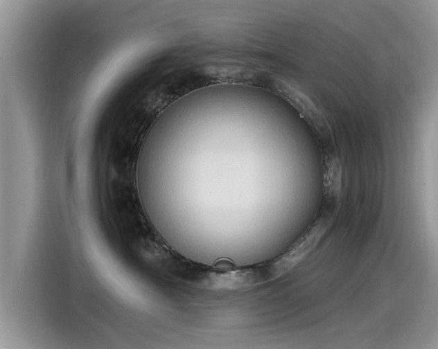 X0000115540430200911131548