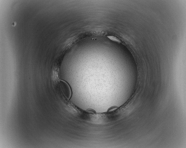 X0000115540432200911131548