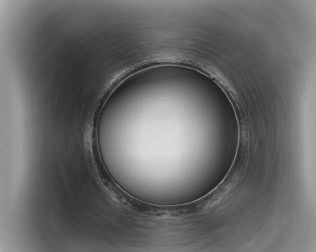 X0000115540434200911131547