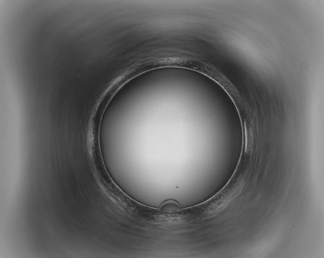 X0000115540435200911131547