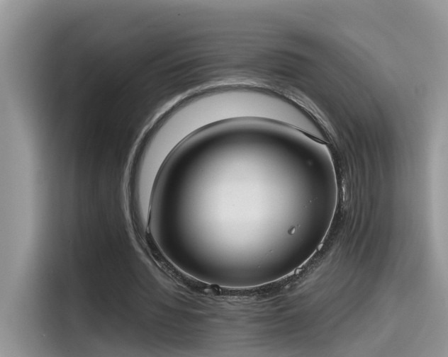 X0000115540436200911131547