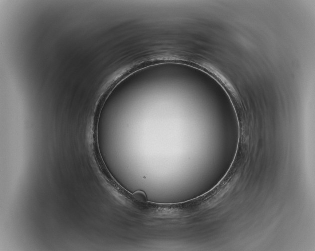 X0000115540437200911131547