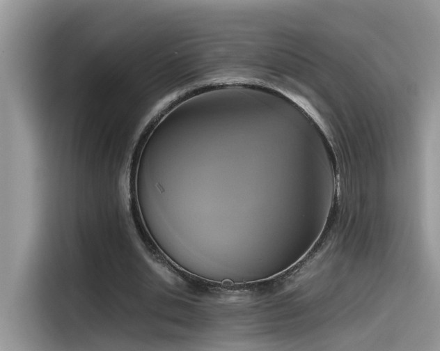 X0000115540438200911131547